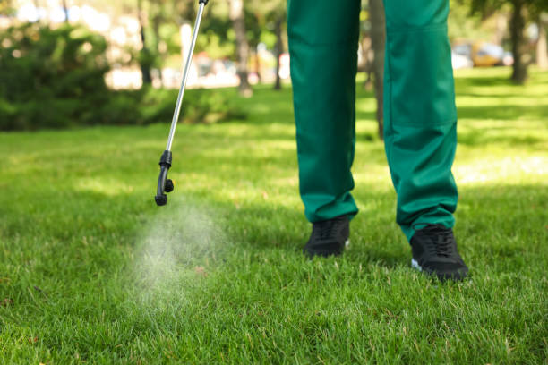 Best Pest Removal Services  in Falmouth Foreside, ME