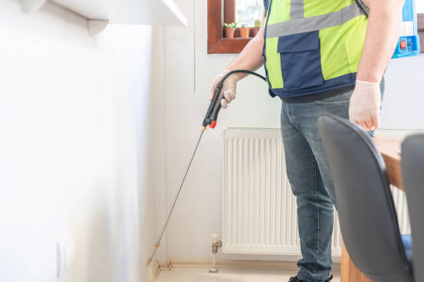 Best Local Pest Control Services  in Falmouth Foreside, ME