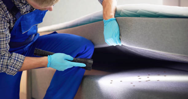 Pest Prevention Services in Falmouth Foreside, ME