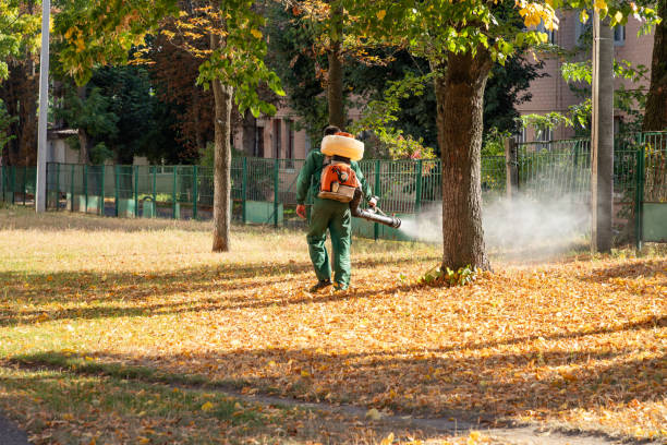 Professional Pest Control in Falmouth Foreside, ME