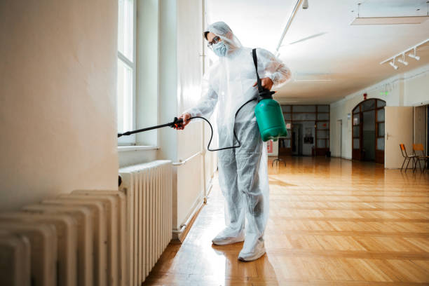 Best Affordable Pest Control Services  in Falmouth Foreside, ME